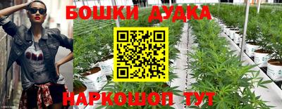 spice Будённовск