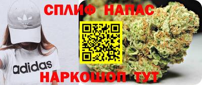 spice Будённовск