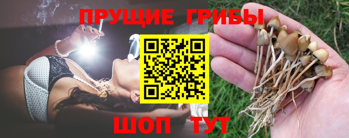 продажа наркотиков  Псилоцибиновые грибы Cubensis  Салехард  Вход с VPN  Галлюциногенные грибы Psilocybine cubensis 